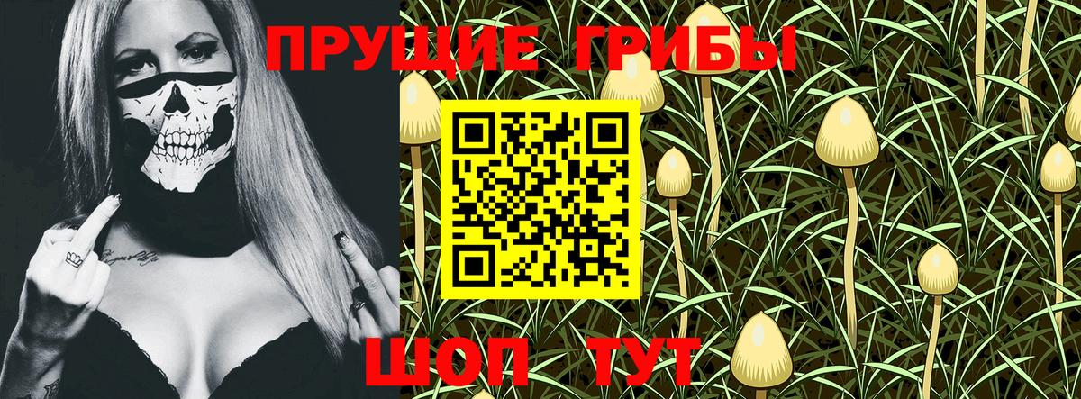 Качканар  Галлюциногенные грибы мицелий  Псилоцибиновые грибы Magic Shrooms  Вход с VPN 