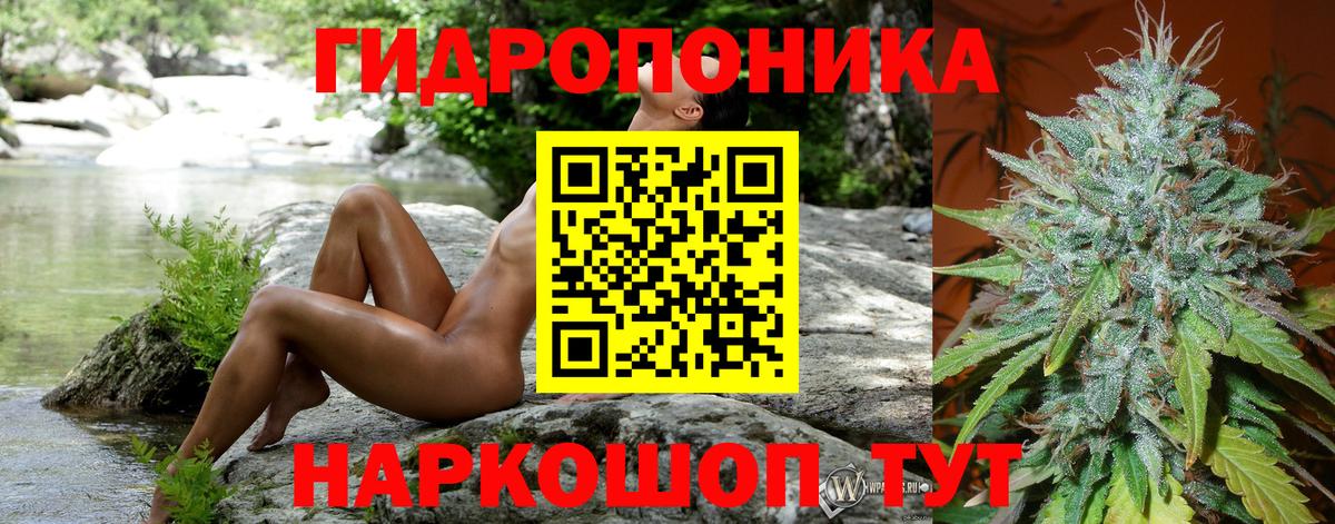 Бошки Шишки сатива Качканар